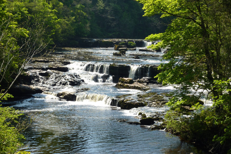 Aysgarth falls