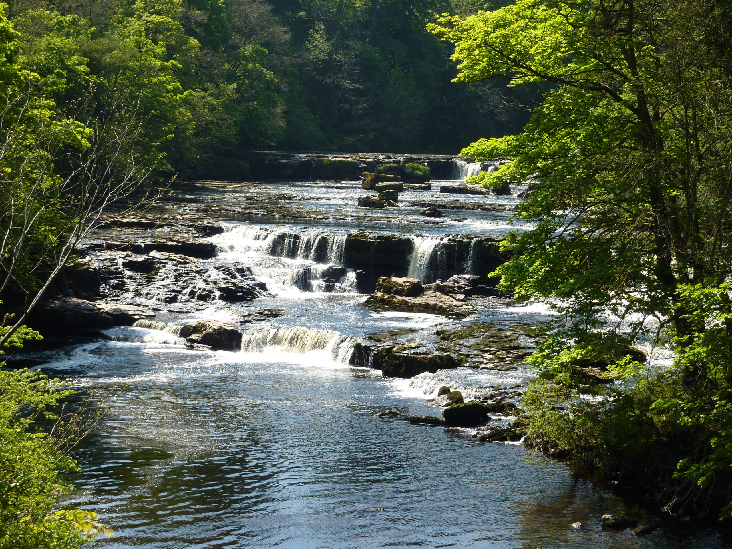 Aysgarth Falls Walk – How to Enjoy It Quietly