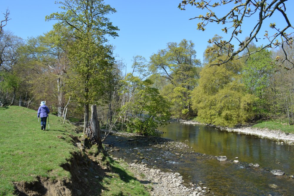 Walking the River Ure – Peaceful Paths and Perfect Picnics
